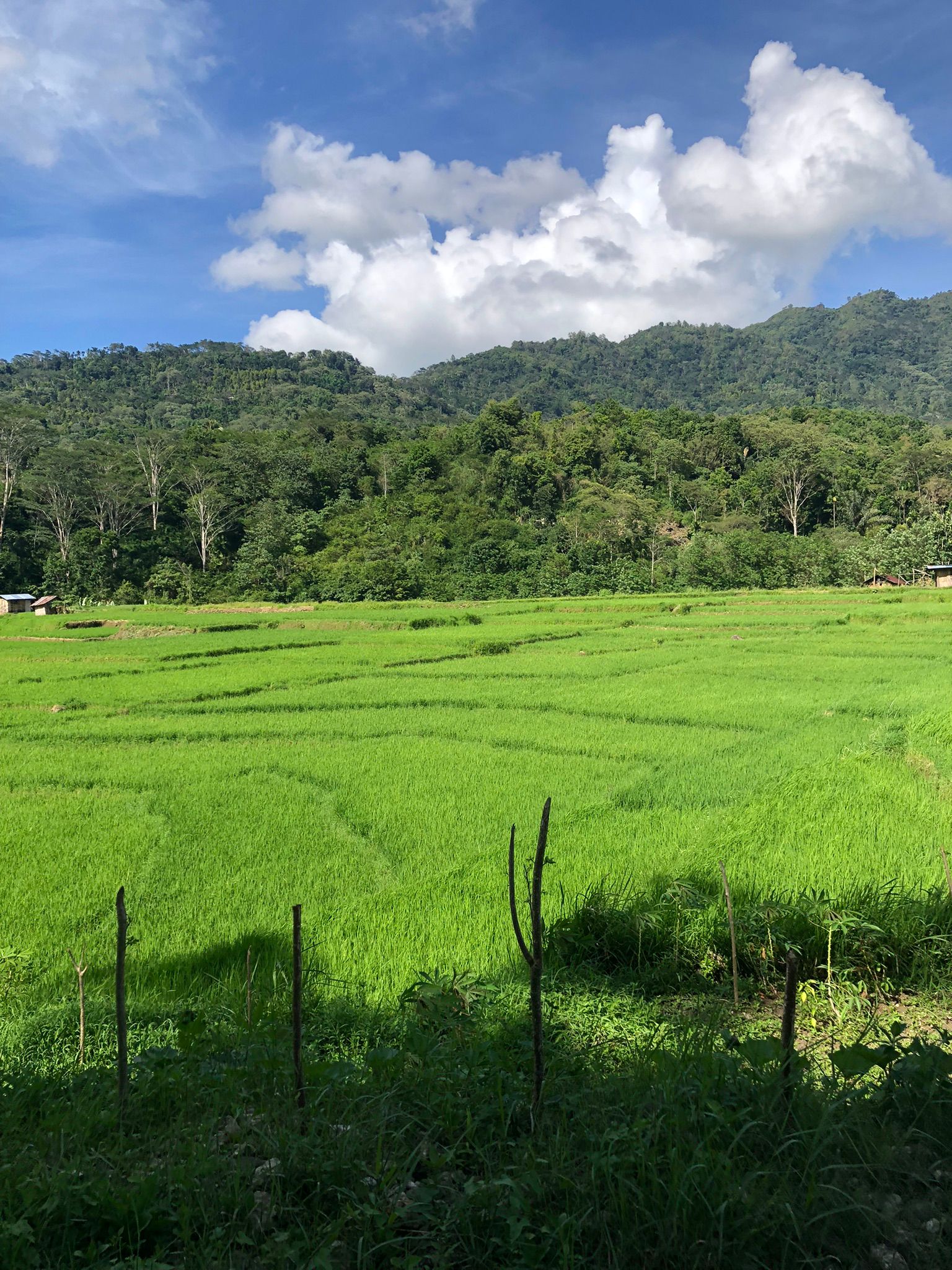 Viaje en grupo a Bali- Mastebali